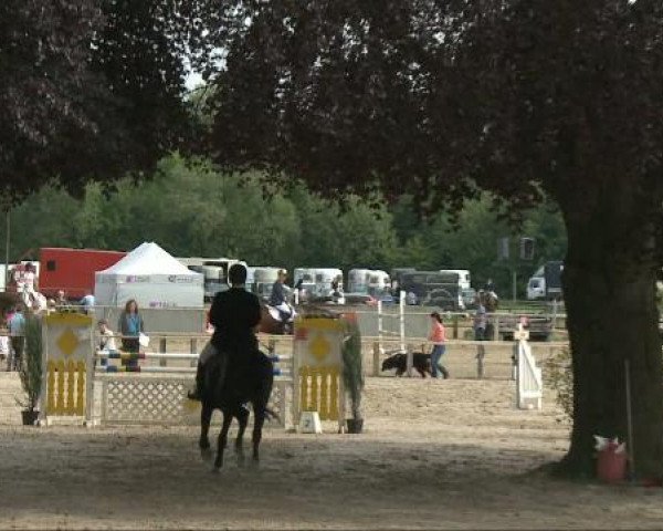 Dorsten 2011