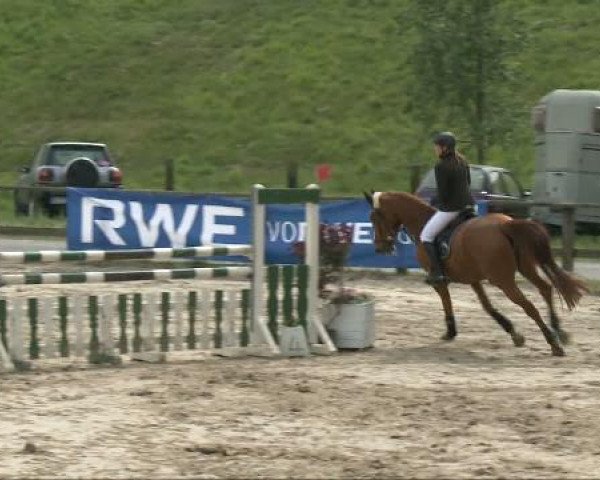 Dorsten 2011
