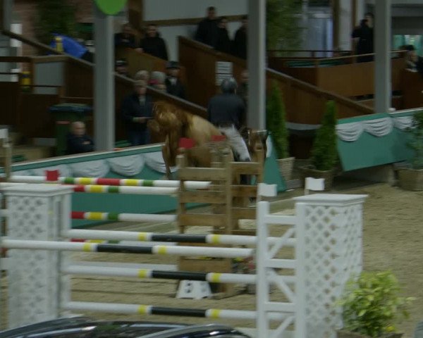 Reitturnier Gahlen 2024