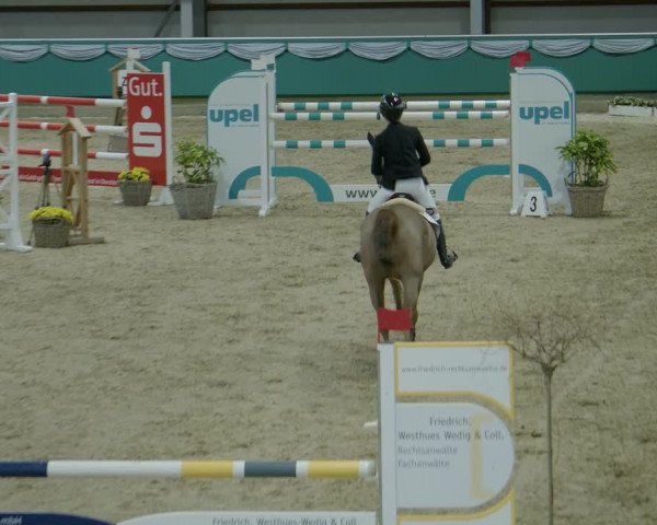 Reitturnier Gahlen 2024