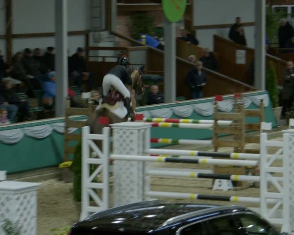 Reitturnier Gahlen 2024