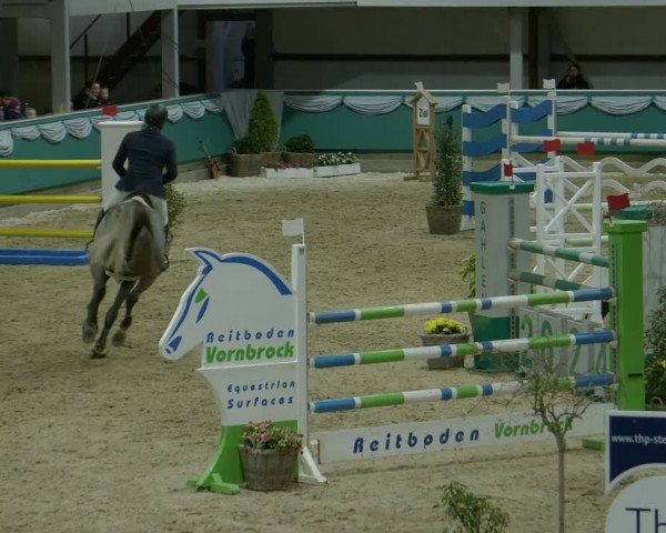 Reitturnier Gahlen 2024