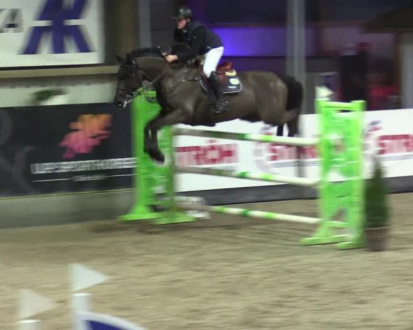 4. Nordic Jumping event Negernbötel 2024