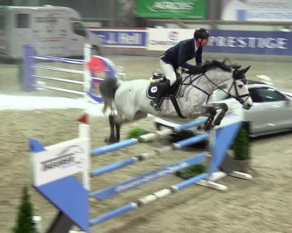 4. Nordic Jumping event Negernbötel 2024