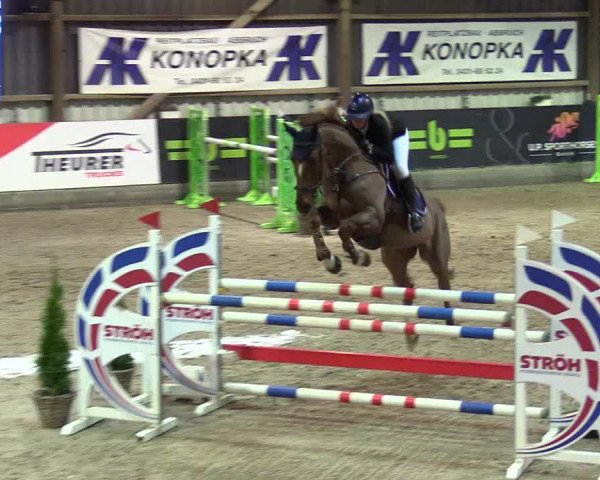 4. Nordic Jumping event Negernbötel 2024