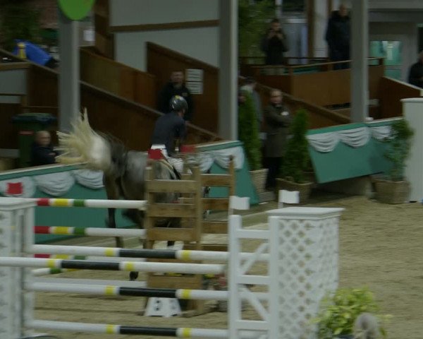 Reitturnier Gahlen 2024