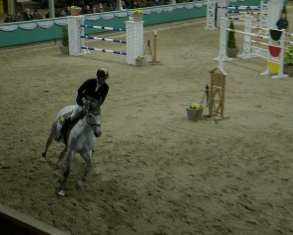 Reitturnier Gahlen 2024