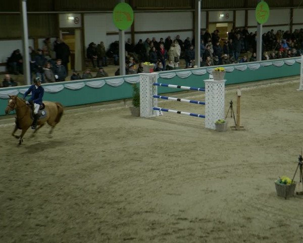 Reitturnier Gahlen 2024
