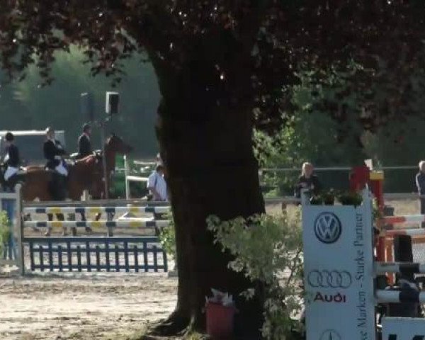 Dorsten 2011