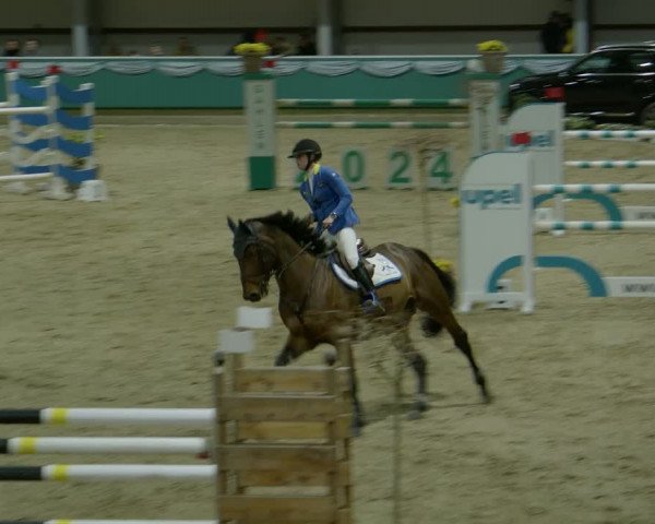 Reitturnier Gahlen 2024