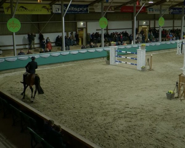Reitturnier Gahlen 2024