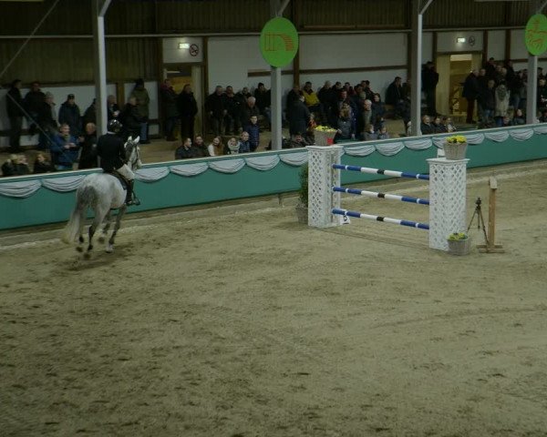 Reitturnier Gahlen 2024