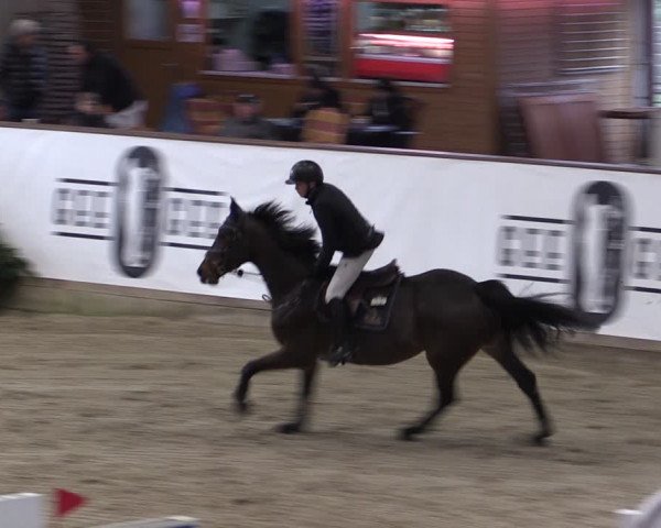 Reitturnier Prussendorf 2024