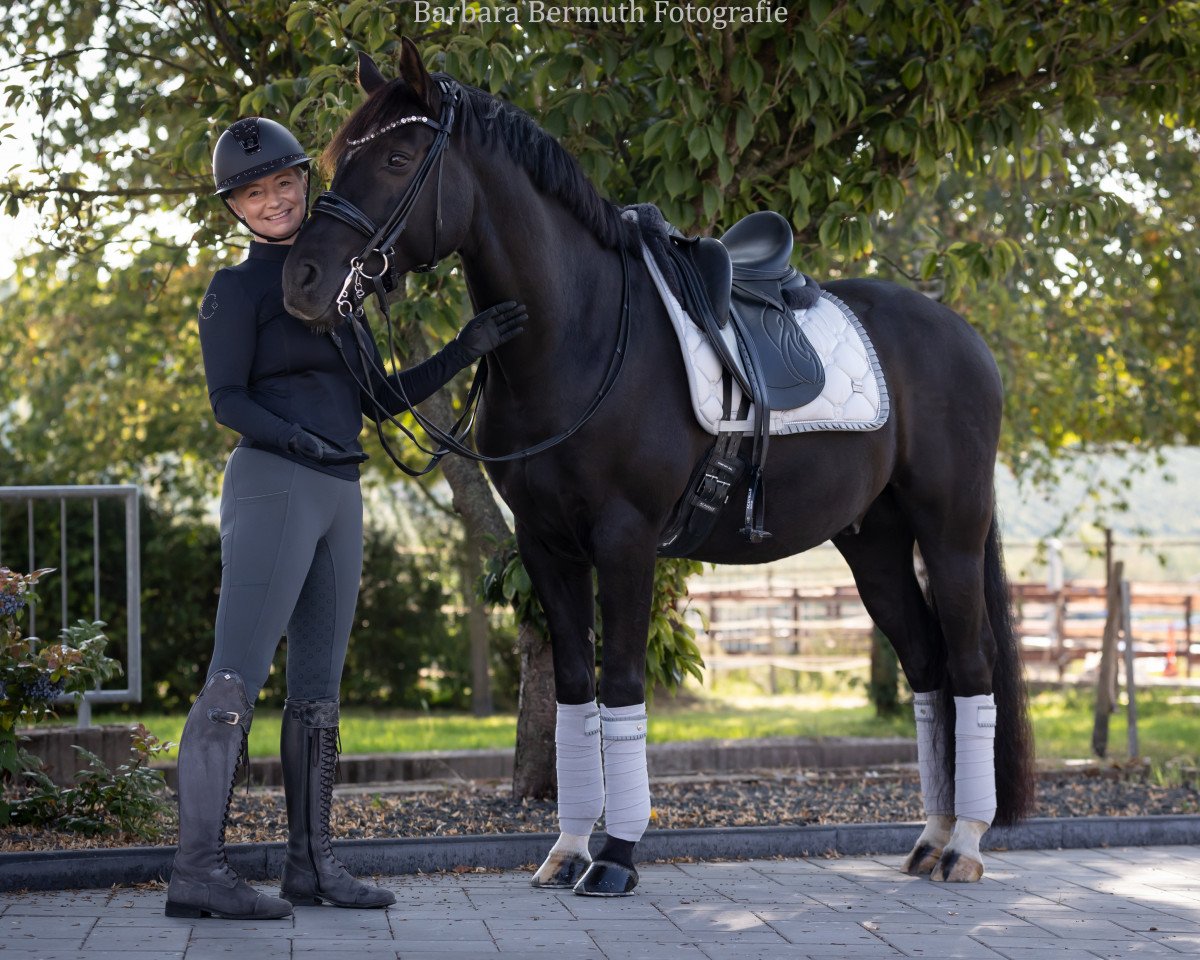 dressage horse Vom Brillanten G (German Riding Pony, 2012, from Valido's Boy)