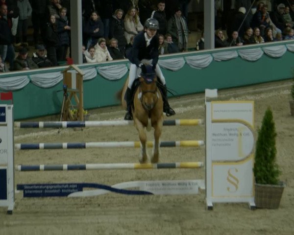 Reitturnier Gahlen 2024