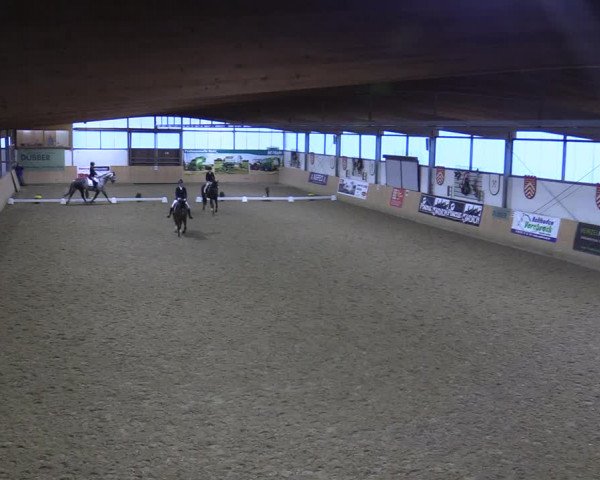 Dressurturnier Borgholzhausen-Westbarthausen 2021