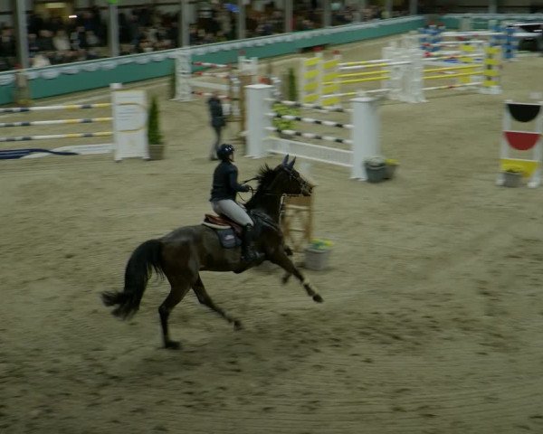 Reitturnier Gahlen 2024