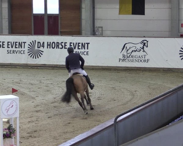 Reitturnier Prussendorf 2024