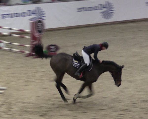 Reitturnier Prussendorf 2024