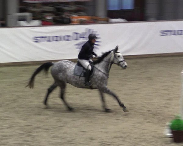 Reitturnier Prussendorf 2024