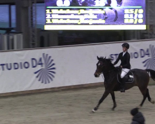 Reitturnier Prussendorf 2024