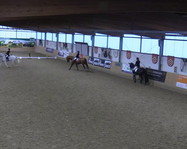 Dressurturnier Borgholzhausen-Westbarthausen 2021