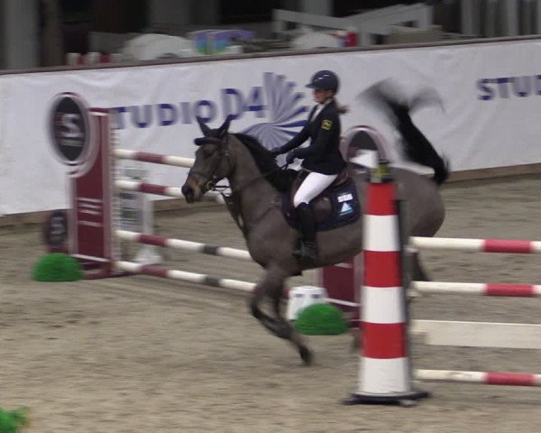 Reitturnier Prussendorf 2024