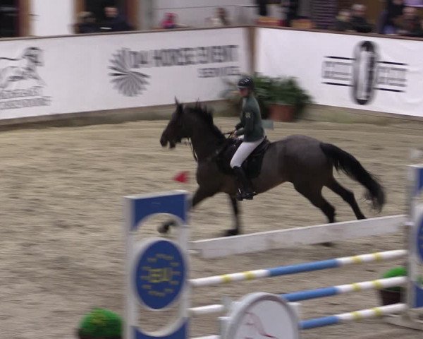Reitturnier Prussendorf 2024