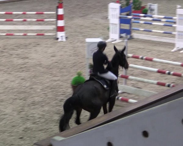 Reitturnier Prussendorf 2024