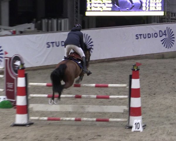 Reitturnier Prussendorf 2024
