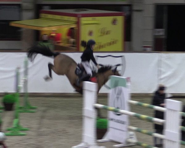 Reitturnier Prussendorf 2024