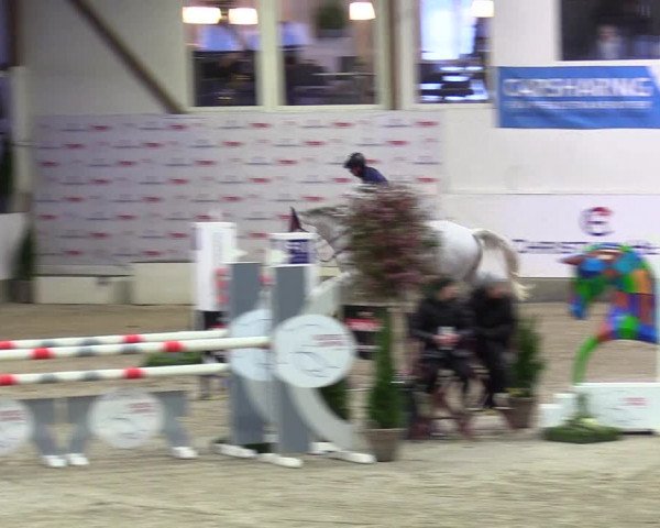 4. Nordic Jumping event Negernbötel 2024