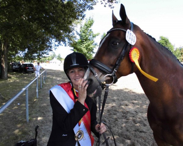 jumper Rio Armany (Hanoverian, 1993, from Rio Branco)