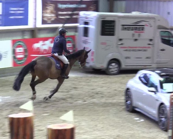 4. Nordic Jumping event Negernbötel 2024