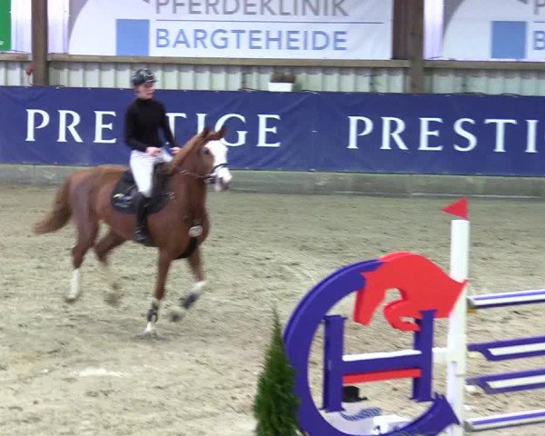 4. Nordic Jumping event Negernbötel 2024
