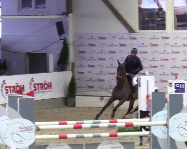 4. Nordic Jumping event Negernbötel 2024