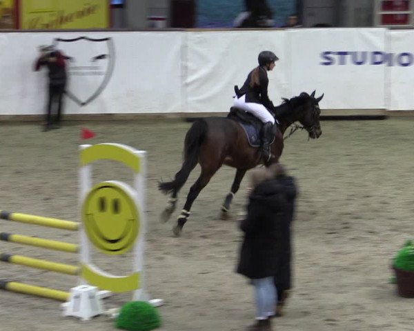 Reitturnier Prussendorf 2024