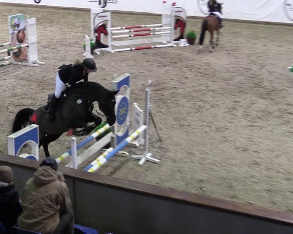 Reitturnier Prussendorf 2024