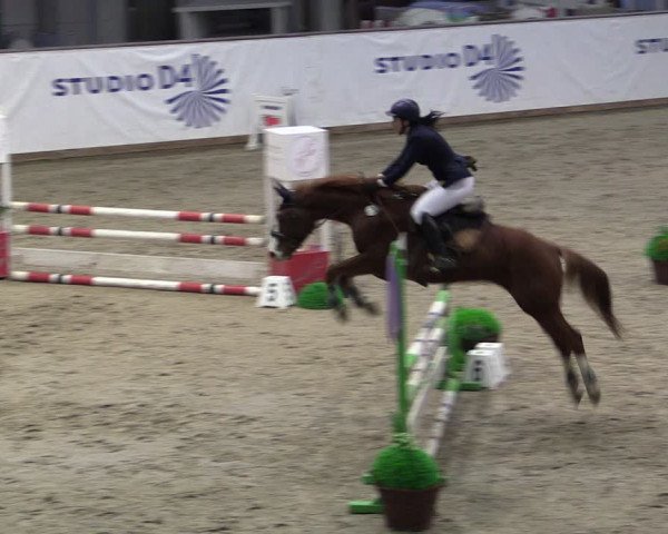 Reitturnier Prussendorf 2024