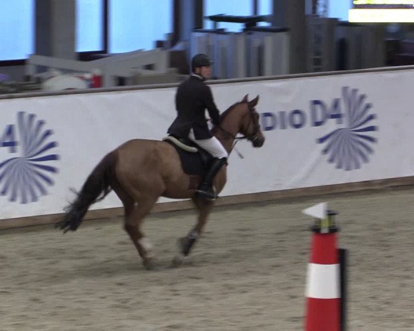 Reitturnier Prussendorf 2024