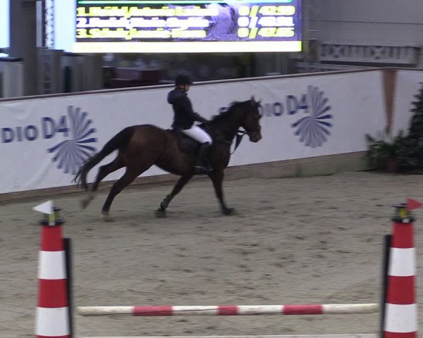 Reitturnier Prussendorf 2024