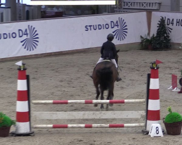 Reitturnier Prussendorf 2024