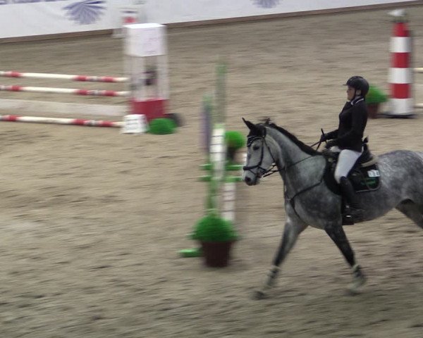 Reitturnier Prussendorf 2024