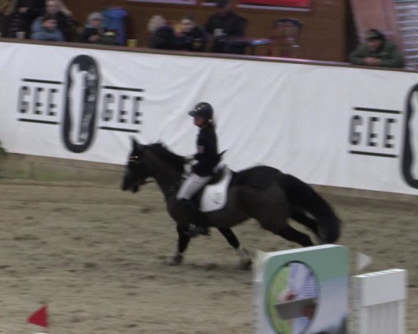 Reitturnier Prussendorf 2024