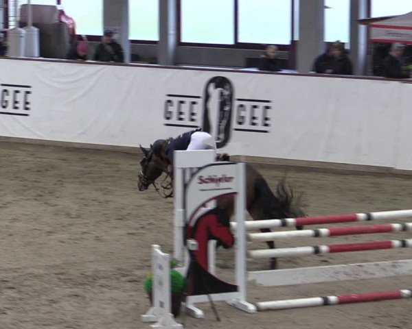 Reitturnier Prussendorf 2024