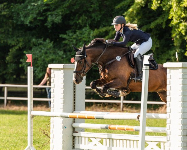 jumper Navajo Spirit (Hanoverian, 2008, from Now Or Never M)