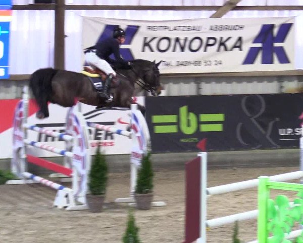 4. Nordic Jumping event Negernbötel 2024