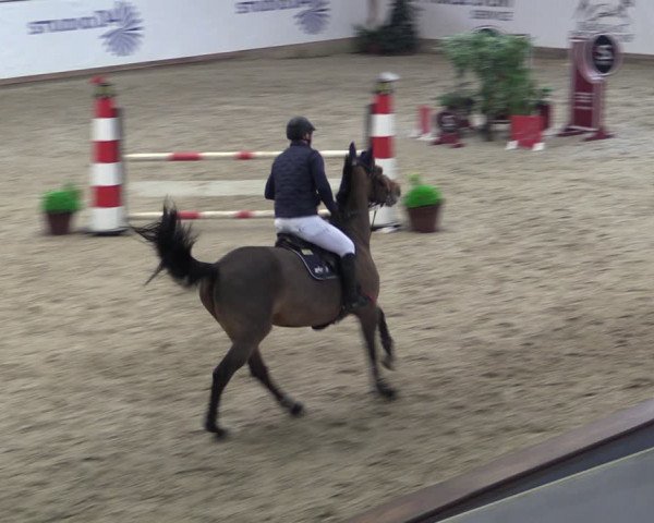 Reitturnier Prussendorf 2024