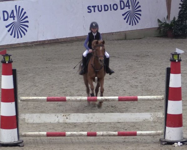 Reitturnier Prussendorf 2024