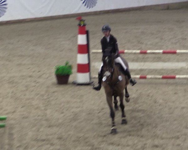 Reitturnier Prussendorf 2024